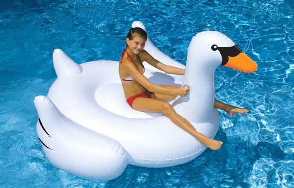 Swan Floats are Back! #SwanLife
